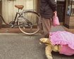 thumb-image-2024-02-29T13:59:15.966Z