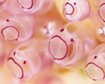 thumb-image-2024-02-29T13:59:16.000Z