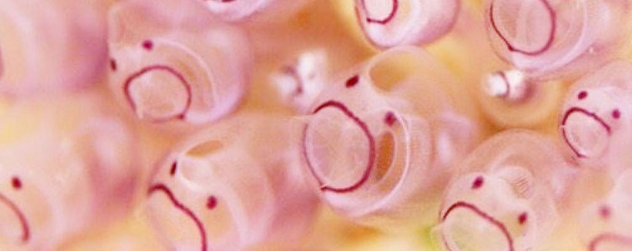 thumb-image-2024-02-29T13:59:16.000Z