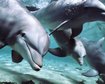 thumb-image-2024-02-29T13:59:16.237Z
