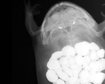 thumb-image-2024-02-29T13:59:16.515Z