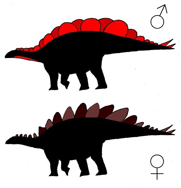 Estegossauro dinossauro antigo herbívoro dinossauro animal extinto