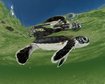 thumb-image-2024-02-29T13:59:16.832Z