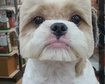 thumb-image-2024-02-29T13:59:17.398Z