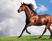thumb-image-2024-02-29T13:59:17.459Z