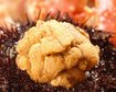 thumb-image-2024-02-29T13:59:18.357Z