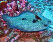 thumb-image-2024-02-29T13:59:18.544Z