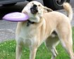 thumb-image-2024-02-29T13:59:18.578Z