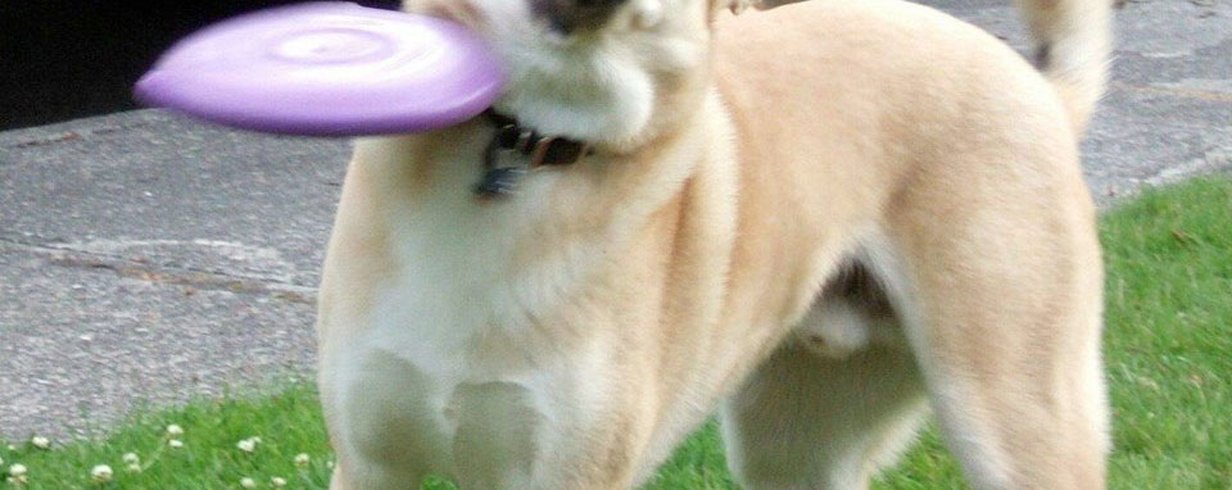 thumb-image-2024-02-29T13:59:18.578Z
