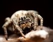 thumb-image-2024-02-29T13:59:18.729Z