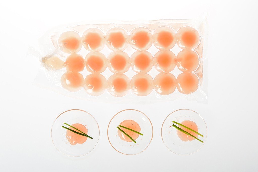 Bistro in Vitro: que tal comer algumas curiosas refeições artificiais?