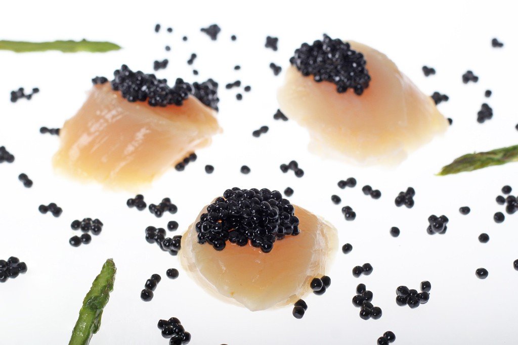 Bistro in Vitro: que tal comer algumas curiosas refeições artificiais?