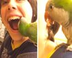 thumb-image-2024-02-29T13:59:19.197Z