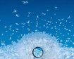 thumb-image-2024-02-29T13:59:19.151Z