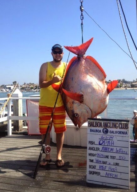 Pesquisadores descobrem o primeiro peixe de sangue quente