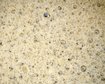 thumb-image-2024-02-29T13:59:20.731Z