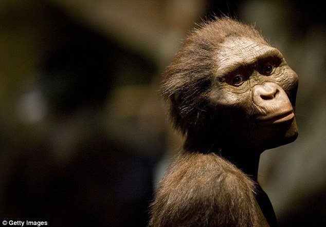 'Vizinho' de Lucy de 3,5 milhões de anos é encontrado na Etiópia
