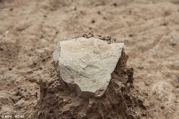 'Vizinho' de Lucy de 3,5 milhões de anos é encontrado na Etiópia