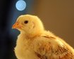 thumb-image-2024-02-29T13:59:21.519Z