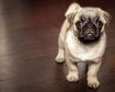 thumb-image-2024-02-29T13:59:21.560Z