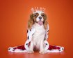 thumb-image-2024-02-29T13:59:21.855Z