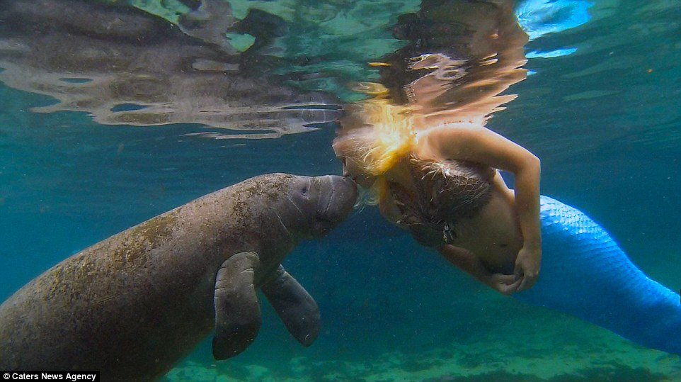 Conheça Melissa, a Pequena Sereia da vida real
