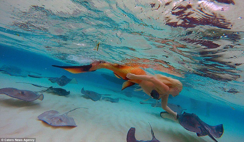 Conheça Melissa, a Pequena Sereia da vida real
