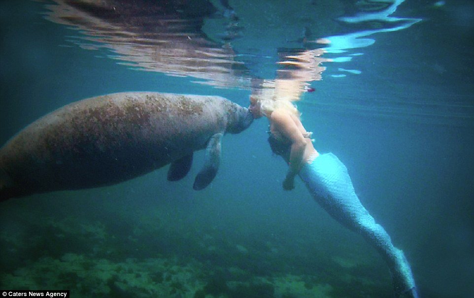 Conheça Melissa, a Pequena Sereia da vida real