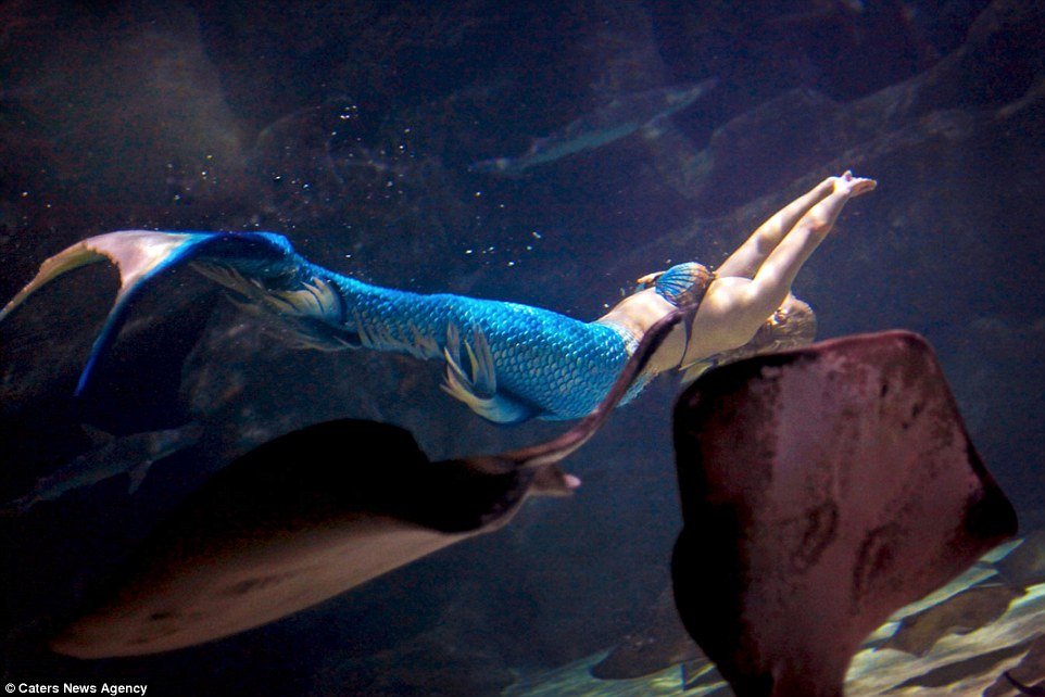 Conheça Melissa, a Pequena Sereia da vida real
