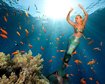 thumb-image-2024-02-29T13:59:21.960Z