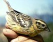 thumb-image-2024-02-29T13:59:22.553Z