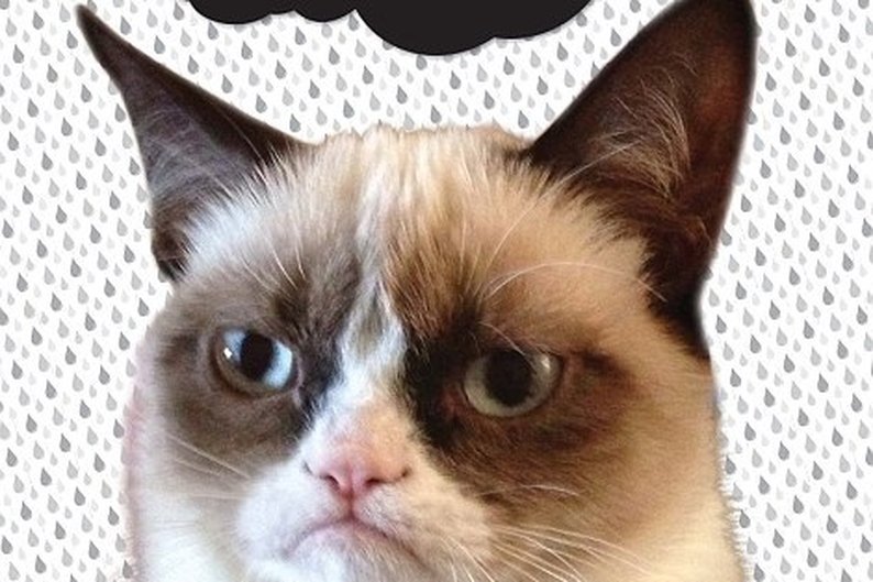 Grumpy Cat - Daily Mail