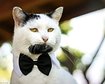 thumb-image-2024-02-29T13:59:22.656Z