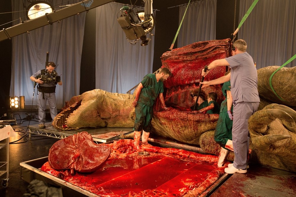 Presas e sangue: confira a autópsia de uma réplica realista de Tiranossauro