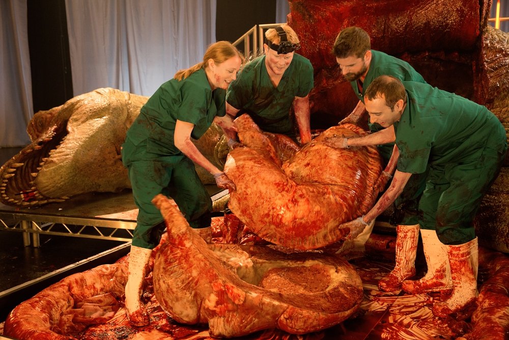Presas e sangue: confira a autópsia de uma réplica realista de Tiranossauro