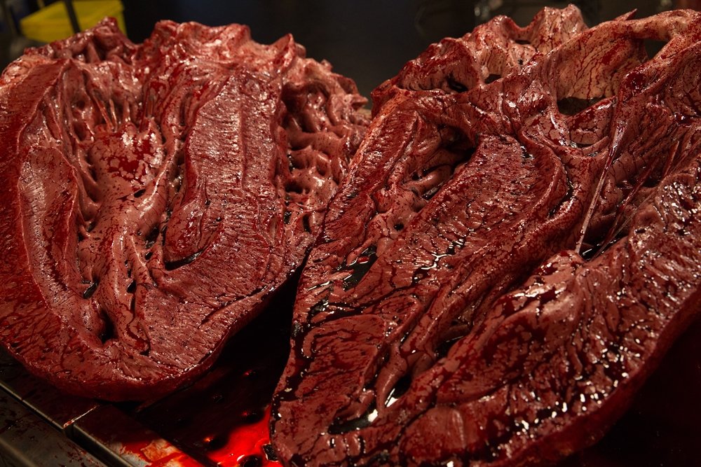 Presas e sangue: confira a autópsia de uma réplica realista de Tiranossauro