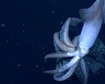 thumb-image-2024-02-29T13:59:23.660Z