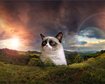 thumb-image-2024-02-29T13:59:24.104Z