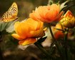 thumb-image-2024-02-29T13:59:24.434Z