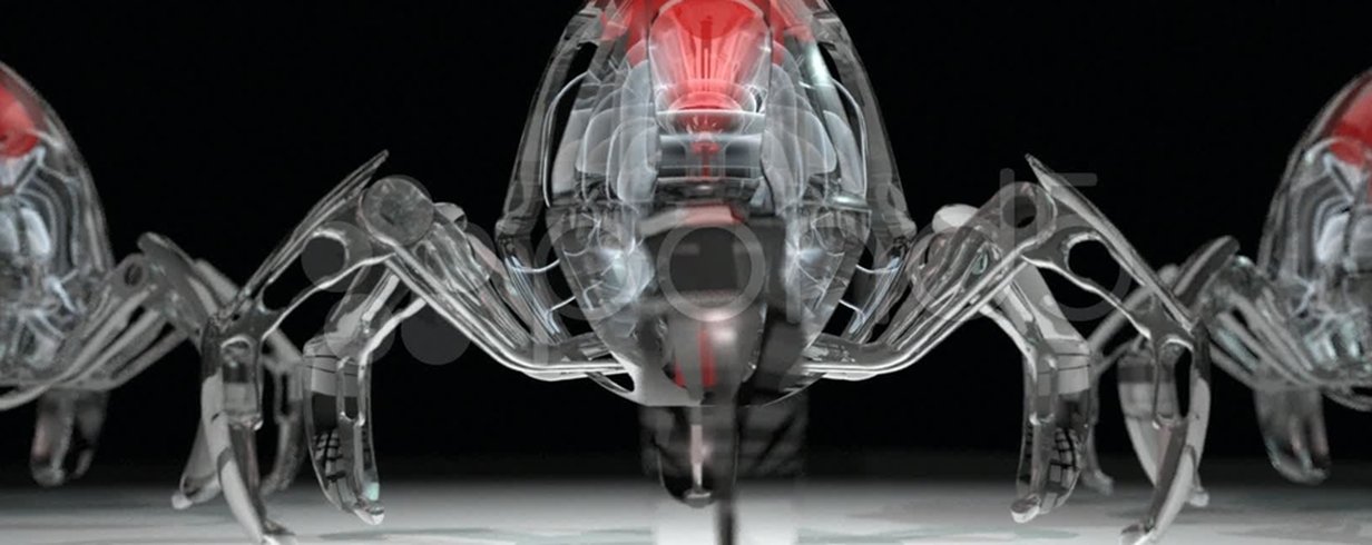thumb-image-2024-02-29T13:59:24.656Z