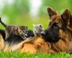 thumb-image-2024-02-29T13:59:25.590Z