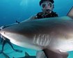 thumb-image-2024-02-29T13:59:26.415Z