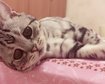 thumb-image-2024-02-29T13:59:26.606Z