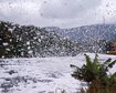 thumb-image-2024-02-29T13:59:26.812Z