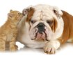 thumb-image-2024-02-29T13:59:27.234Z