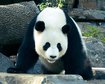 thumb-image-2024-02-29T13:59:27.449Z
