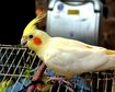thumb-image-2024-02-29T13:59:27.947Z