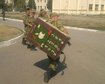 thumb-image-2024-02-29T13:59:28.081Z