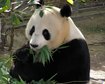 thumb-image-2024-02-29T13:59:28.724Z