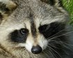 thumb-image-2024-02-29T13:59:28.761Z